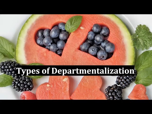 Types of Departmentalization | Departmentalization...