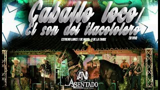 Video thumbnail of "Caballo loco & El son del Tlacololero / Asentado Norteño [En vivo]"