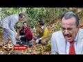 CID को जंगल मे मिली लाश | क्या ACP जानता है किसकी है लाश ? CID - सी आई डी | Mystery | New Episode