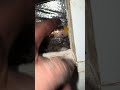 Suspected gas leak under a kitchen cooktop.