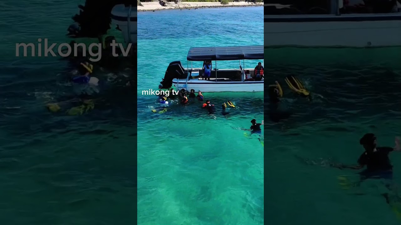 beach #mikongmotofarm #djimini4k #beach