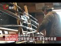 平和排灣獵人 傳承製弓箭技術 20120313