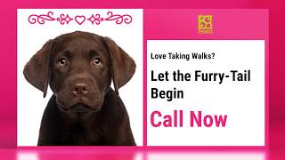 Petland Iowa City Found Your Valentine