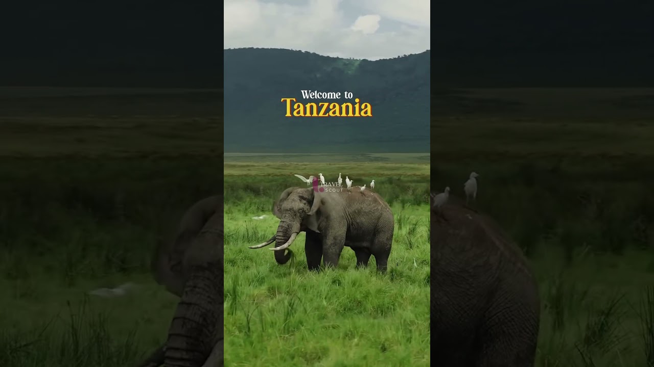 Tanzania Travel Guide 2026 - Serengeti, Mount Kilimanjaro, Zanzibar beaches, and safaris