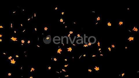 Falling Maple Leaves 4K | Motion Graphics - Envato elements