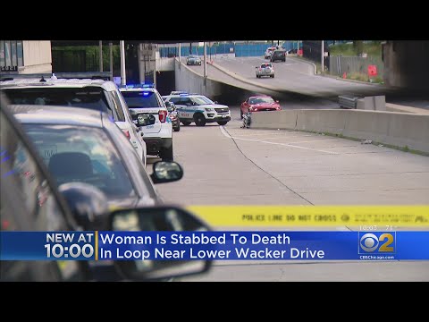 Woman Stabbed To Death On South Wacker Drive Downtown