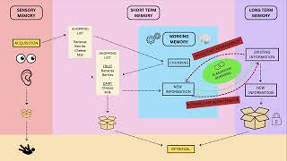 Mind Map Week 5 _ Emilia Skuza