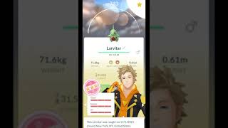 4 Star 100% Iv Larvitar After Purifying