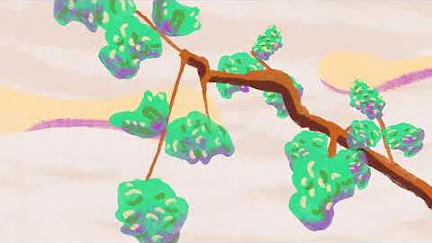 How a Biocontrol Saved the Wiliwili Trees in Hawaiʻi