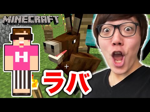 マインクラフト ラバ誕生 馬とロバの子供 ヒカキンのマイクラ実況 Part46 ヒカクラ Youtube