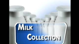 Automatic Milk Collecting System
