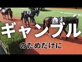 人間の娯楽のためだけに7000頭も生産され、99%が処分される競走馬の行方を調べてみた