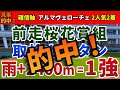 オークス2025 競馬YouTuber達が選んだ【確信軸】バテない1強+穴馬=高配当を的中可能!