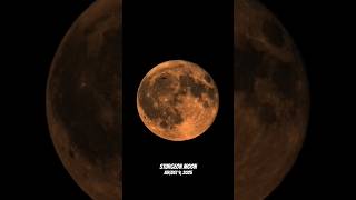 ✈️🌝 Majestic &#39;Sturgeon Moon&#39; 🔭 #fullmoon #sturgeonmoon #sturgeon #vollmond #airplane #solarsystem