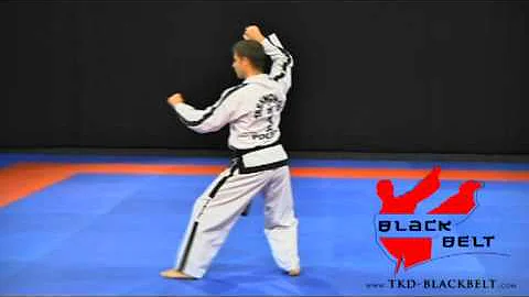 WON - HYO by Jaroslaw Suska - www.tkd-blackbel...