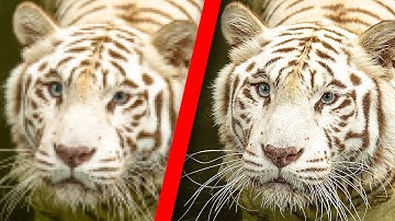 Topaz Labs Gigapixel AI vs Adobe Super Resolution – upscale Comparison