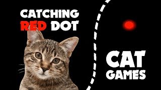 Catching RED DOT LASER for cats ★ CAT GAMES 1 hour screenshot 3