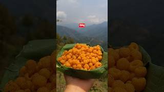 ऐसेलु( Golden Himalayan Raspberry) #nature #ytshorts #wildberries #beenachhaharimagar