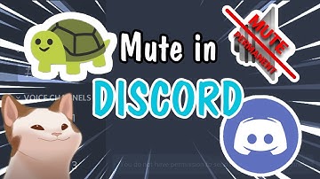 CÁCH MUTE MẤY THẰNG ĐUỒI BẦU SPAM TRONG DISCORD