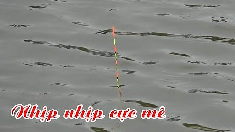 Mê mẩn với bộ môn câu cá " Diếc ", Cận cảnh nhịp ăn phao câu đài