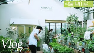 How is the planterior? The plant room : Green wall by 너는내운냥 3,031 views 1 year ago 5 minutes, 23 seconds