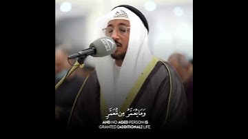 وَاللَّهُ خَلَقَكُمْ مِنْ تُرَابٍ ثُمَّ مِنْ نُطْفَةٍ¦¦#سورةفاطر :11 ¦¦سعد أزويت ¦¦ #SaadEzzaouit