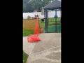 This Is the Moment I Wait For in Every Dog’s Training Journey