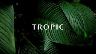 Tropic Skincare: Vegan, Cruelty-Free Skincare That’s Revolutionising Sustainable Beauty 