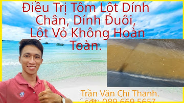 ĐIỀU TRỊ TÔM LỘT DÍNH CHÂN, DÍNH ĐUÔI, LỘT VỎ KHÔNG HOÀN TOÀN | Trần Văn Chí Thanh 0896695657