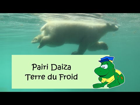 Pairi Daiza, Terre du Froid (2020)