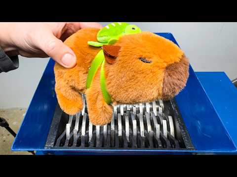 Capybara vs Industrial Shredder