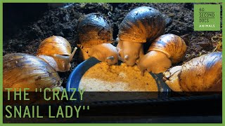 The “Crazy Snail Lady” Raising 150 Pet Snails