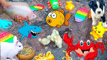 Thỏ Vlog Và Bạn Nhím Giải Cứu Vịt Con Bị Thất Lạc, Xấy Dựng Hồ Cá Cho Vịt Con Bơi - Phần 20