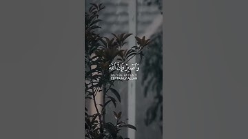 تلاوة خاشعة جميلة بصوت ماهر المعيقلي ارح سمعك ♡ سورة الزمر القارئ #ماهر_المعيقلي #اكسبلور_فولو