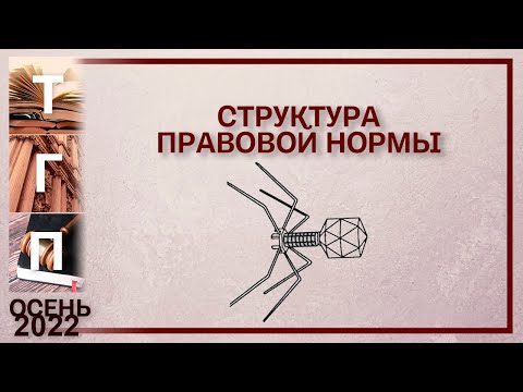 Структура правовой нормы