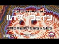 知覚の扉を開いた猫ちゃんたち「ルイス・ウェイン」【なぜなにキーワードカタログ】