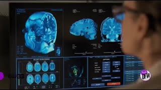 How Sense of Smell Can Affect Long-Term Memory Profile