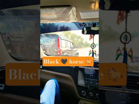black horse 🐎#viral #shorts #scorpio
