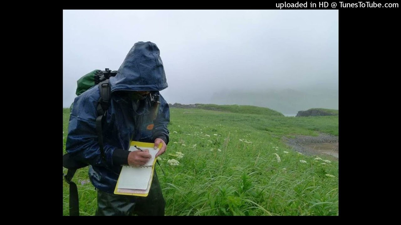 ambient izaya tiji untiljapan type beat 