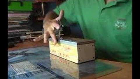 ..nollie kickflip bs bluntslide ft imposible out to fakie...