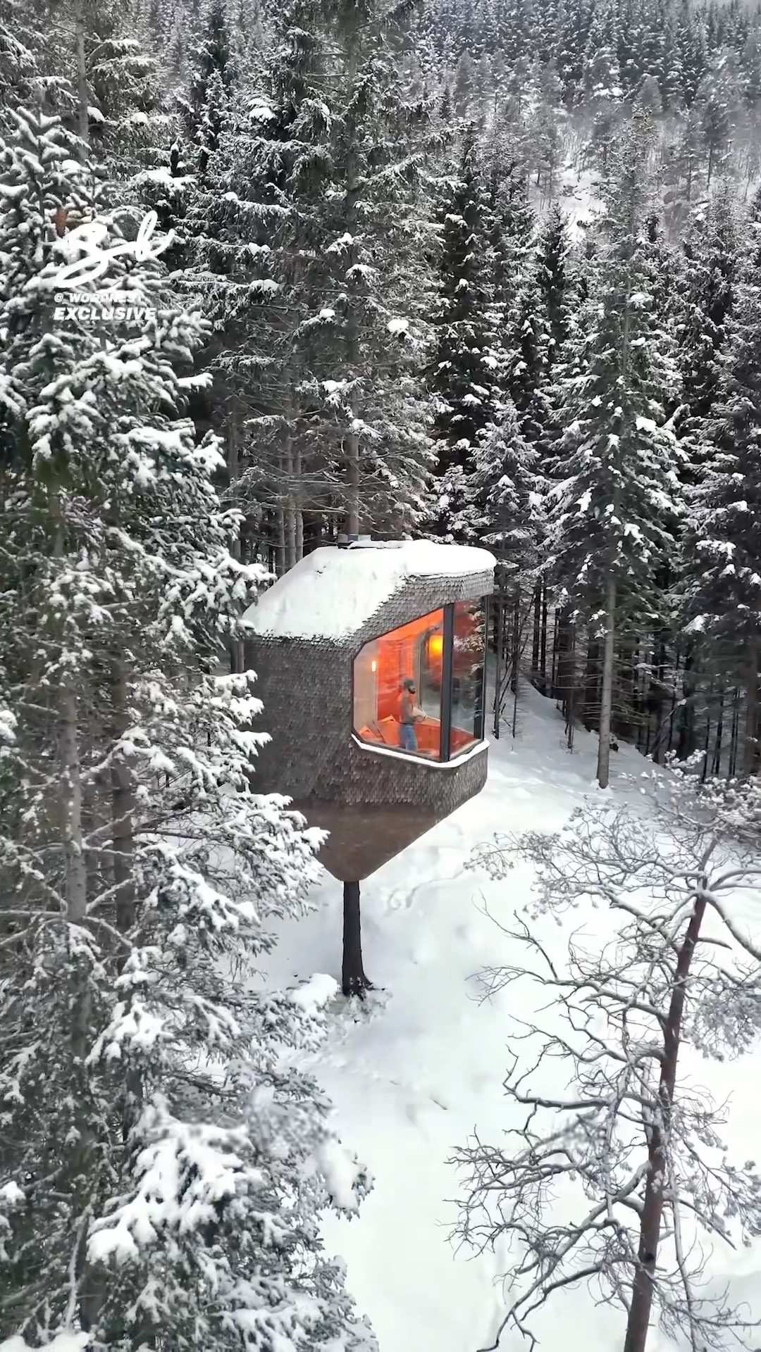 This isn't your average treehouse ? #luxury #airbnb #hotel
