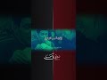 الشاهين الاشوس عباس عجيد العامري