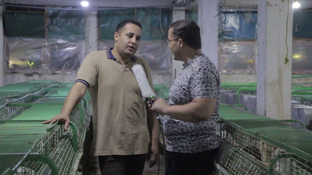 لقاءات الاستاذ / محمد سلامة عن (كيف تكون مربى ارانب محترف من الدرجة الاولى) 8