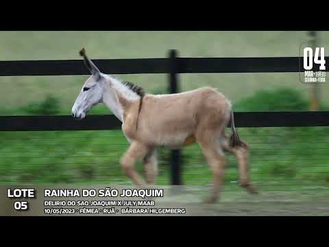 RAINHA DO SÃO JOAQUIM