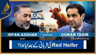 Red Heifer Ki Qurbani K Bad Kya Hua? ! Irfan Asghar with Usman Tahir | Bari Baat Hai | Alief TV