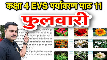 कक्षा 4 EVS (पर्यावरण अध्ययन) पाठ 11 - फुलवारी | प्रश्न उत्तर