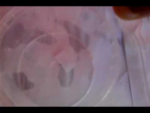 Comment faire du slime avec du sel et du savon Marseille ...