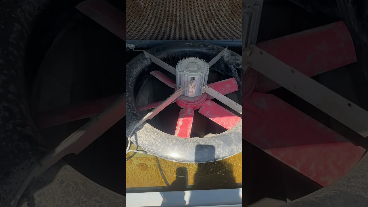 Fan In Need Of Replacement On Swampy