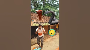Epic VFX Snake Attack in Village – Unreal Giant Cobras! 🐍🔥 #shorts #youtubeshorts #trendingshorts