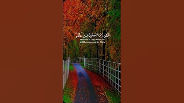 قرآن الكريم 😌 #قرآن #اكسبلورر #duet #اكسبلورفولو #دويتو #اكسبلور #حالات_واتس #فولو #راحة_نفسية #قران